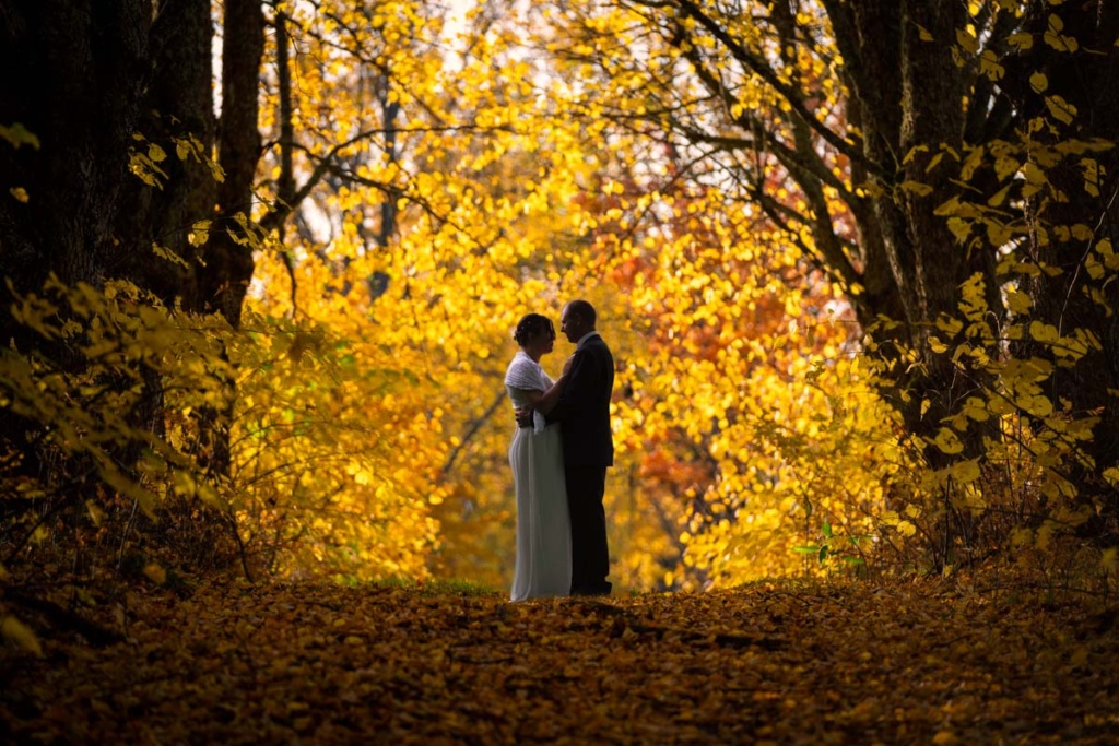 Bröllopspar håller om varandra omgivna av träd i höstfärger