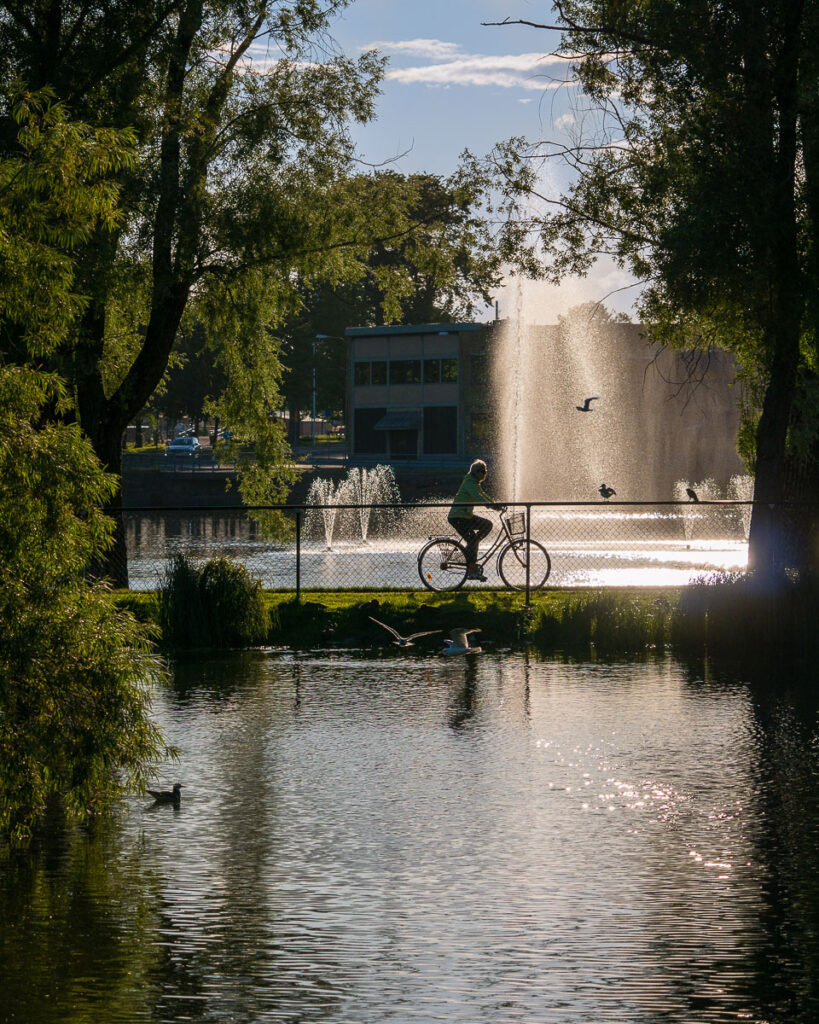 Cyklist vid ankdammen i Arvika