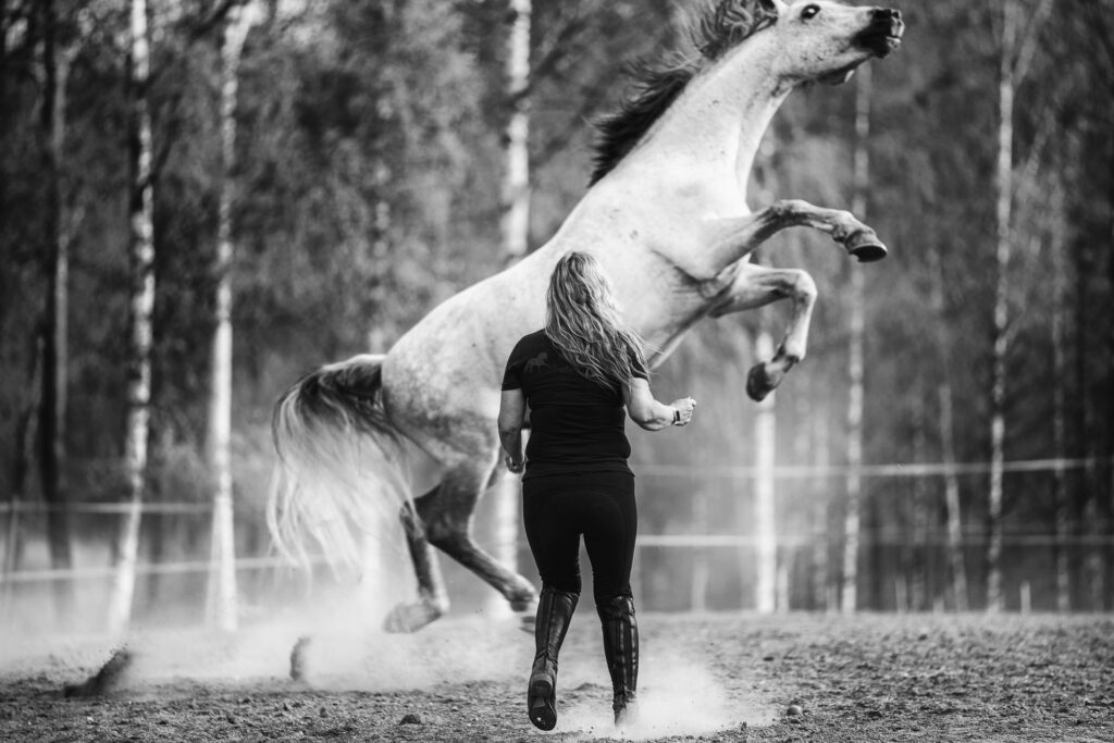 Kvinna står vid stegrande häst i Arvika