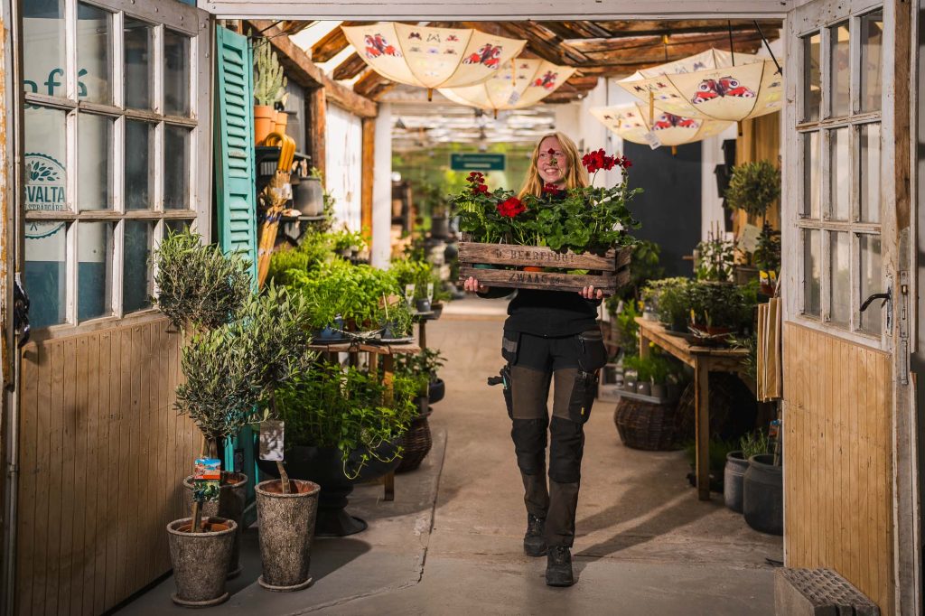 Anställd kvinna på Högvalta handelsträdgård i Arvika kommer med blommor.