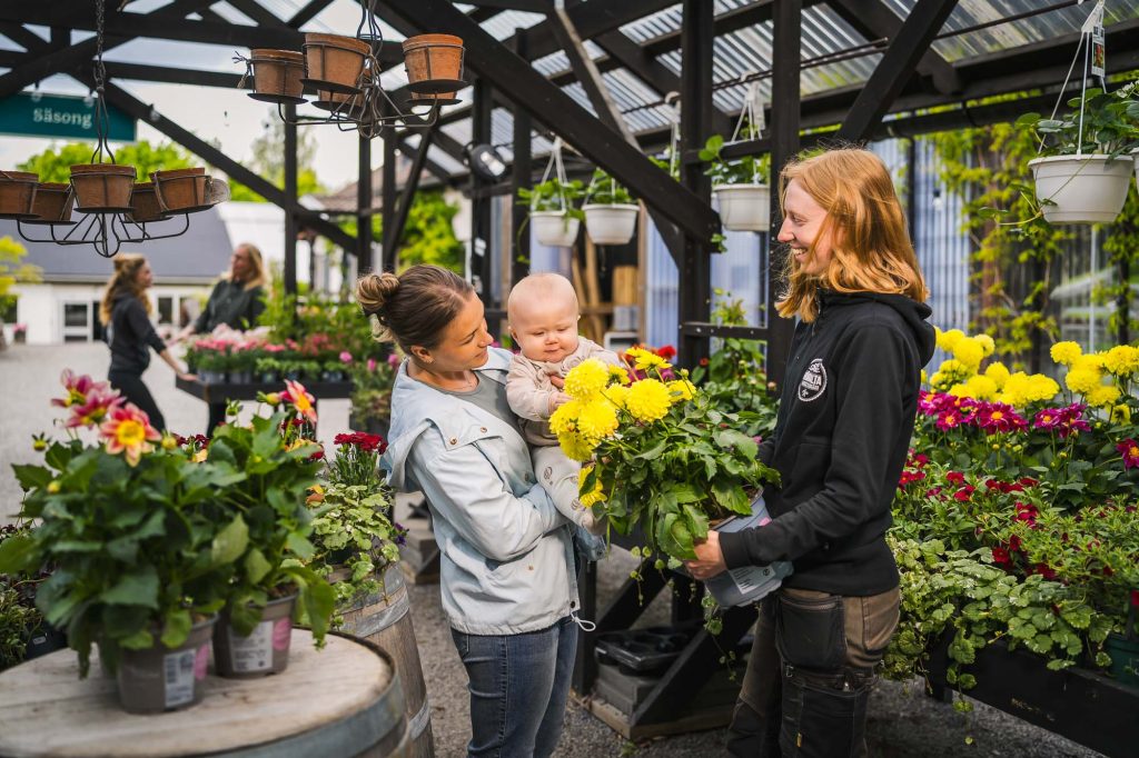 Bild av mor med barn som pratar med personal på Högvalta handelsträdgård.