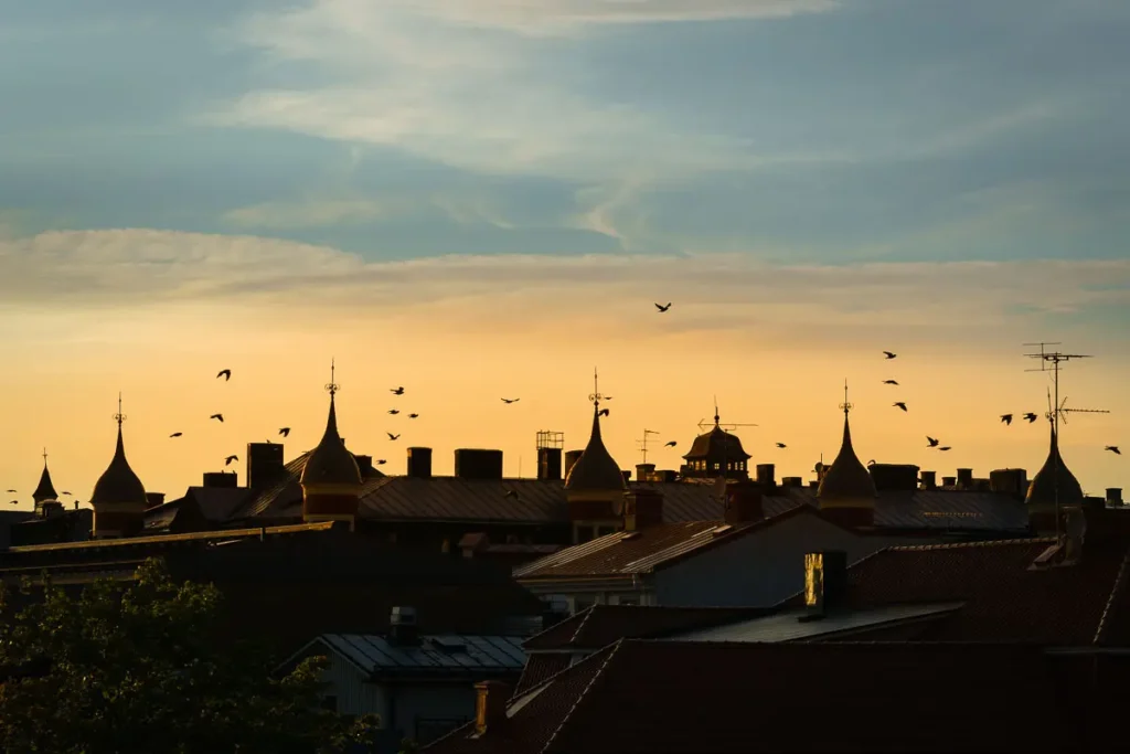 Siluett av tornhusen i Arvika stad vid en vacker solnedgång med flygande fåglar.