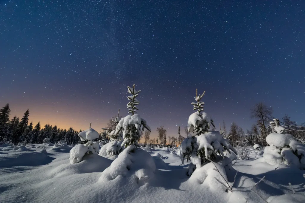 Stjärnhimmel över snötäckta smågranar i Glaskogen, Årjäng. Professionellt nattfoto från Värmland av PixPep, fotograf Arvika.