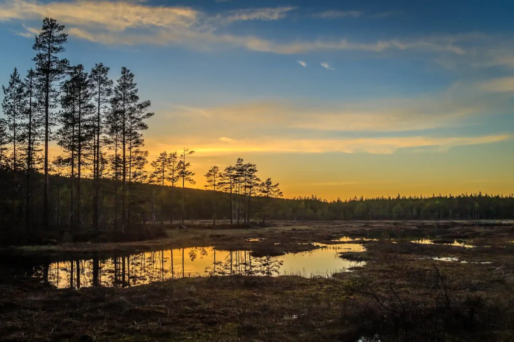 Spegling i myr vid Gammelkroppa, Filipstad under solnedgång. Landskapsfoto från Värmland av PixPep, fotograf i Arvika.