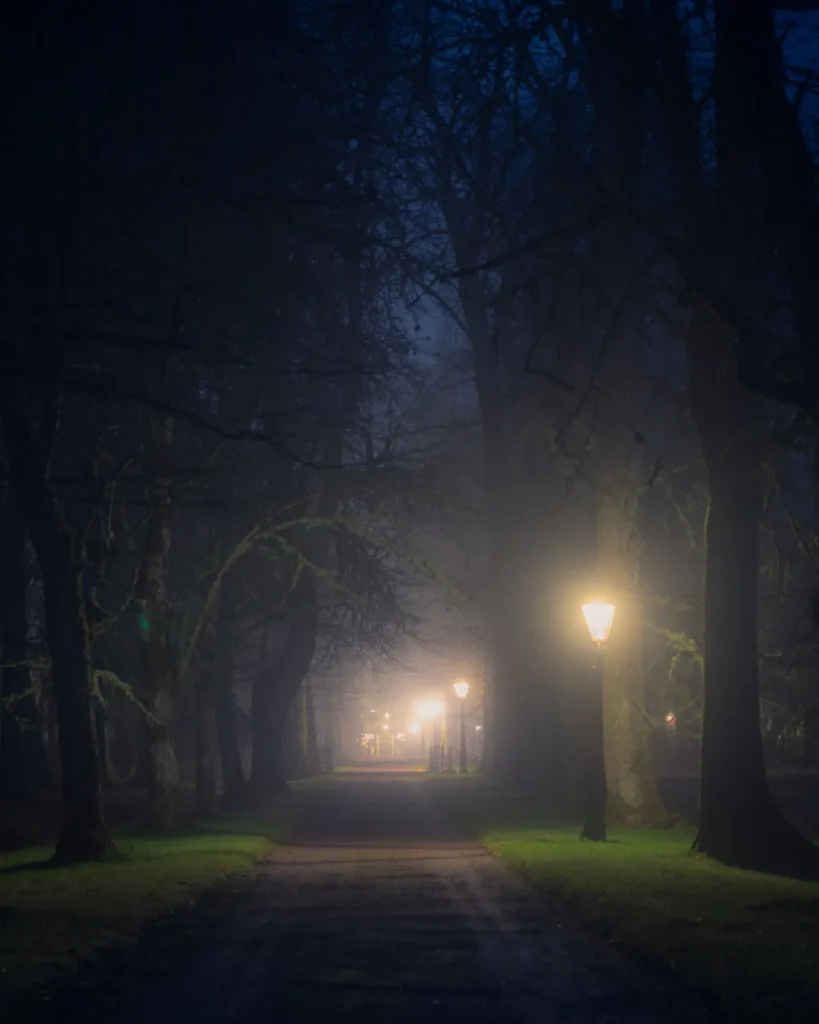 Dimhöljd allé med tända lyktor vid Apertin herrgård i Kil. Stämningsfullt nattfoto från Värmland av PixPep, fotograf Arvika.