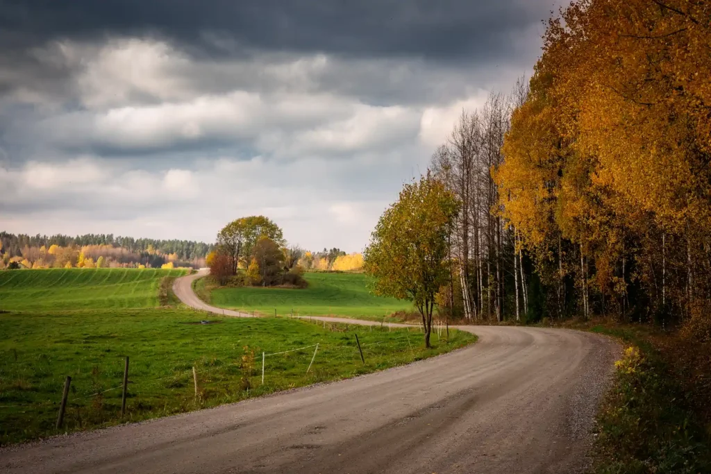 Slingrande grusväg genom höstlandskap med gula träd och åkrar i Koppom, Eda. Foto av PixPep, din fotograf i hela Värmland.