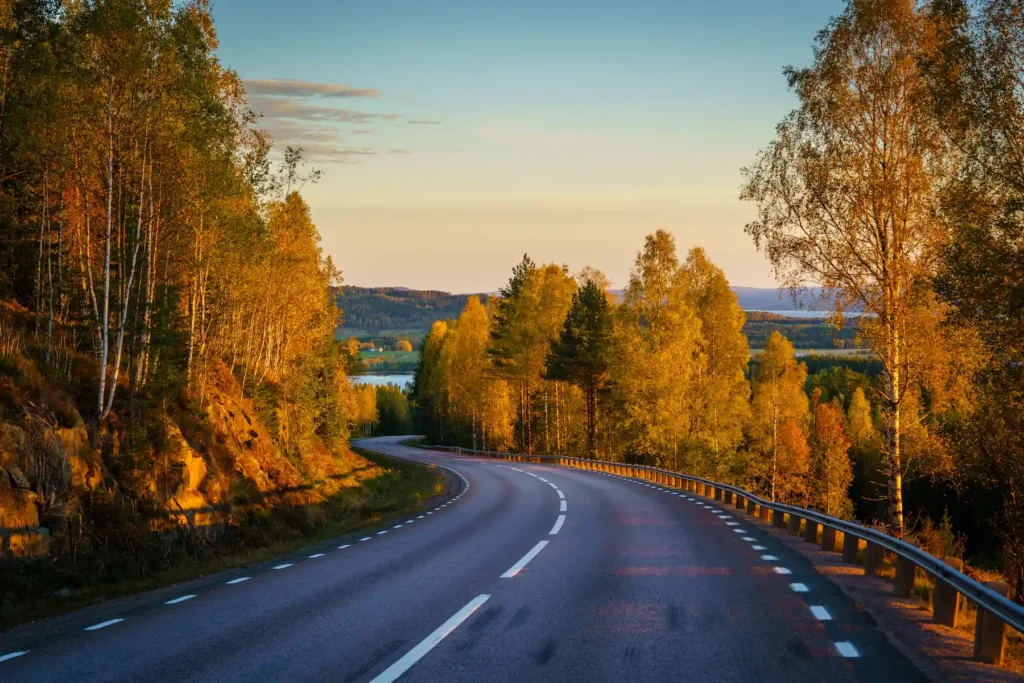 Slingrande höstväg genom björkskog vid Fryksdalshöjden, Sunne. Värmländskt landskapsfoto av PixPep, fotograf i Arvika.