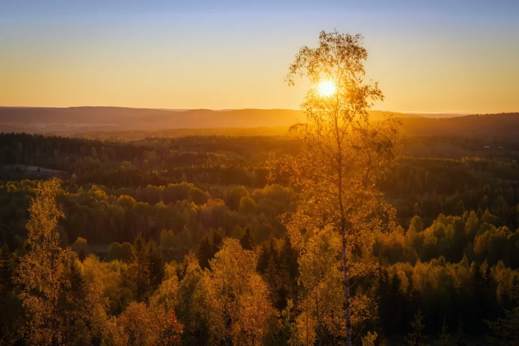 Panoramavy över det värmländska skogslandskapet från Fryksdalshöjden, Sunne. Landskapsfoto i solnedgång av PixPep.