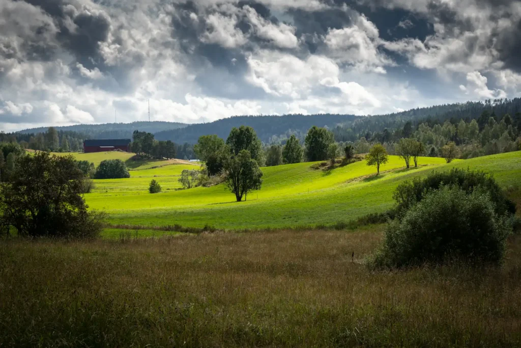 Episk vy över ett kuperat jordbrukslandskap utanför Årjäng under dramatiska moln. Naturfoto av PixPep, Arvika.