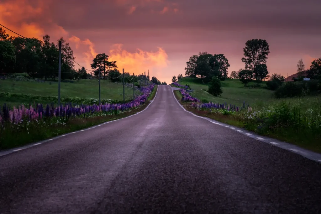 Slingrande väg kantad av lila lupiner i Skillingmark under en färgstark solnedgång. Landskapsfoto från Eda kommun av PixPep.